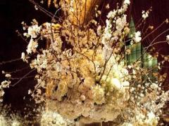 對愛情最專一的星座男