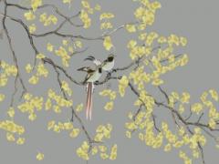 2023年屬蛇的整體運程如何呢,2023年屬蛇人的全年運