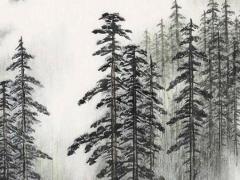 郭璞天罡訣及黑囊經(jīng)注解及譯文 黑囊經(jīng)pdf