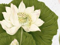 算命命帶吊客是什么意思 算命里的吊客是什么意思