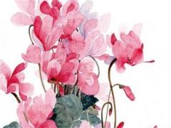 女孩名字屬兔2023