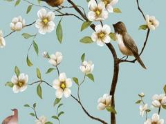 屬虎男與屬豬女有真愛,屬虎男和屬豬女在一起好不好