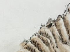 虎男在2023年運勢,虎男2023年運勢怎么樣