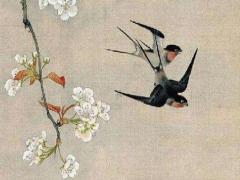 屬龍人2023年全年運勢詳解 1952年屬龍人2023年全年運勢詳解