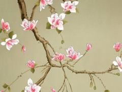 屬龍的今年2023年是多少歲,屬龍的2023多大