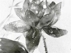 以八字曰柱看功名富貴 八字曰柱論命