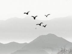 教室八字橫幅標(biāo)語(yǔ) 小學(xué)教室八字標(biāo)語(yǔ)大全