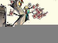 屬龍人在2023的運(yùn)勢(shì)怎么樣呀