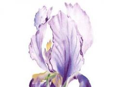 中字起名好聽的名字