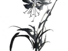 2023年破太歲怎么化解屬龍,2023年犯太歲如何化解