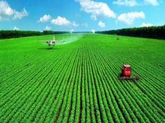 夢到拜觀音是什么意思 夢見拜觀音菩薩求子周公解夢