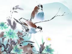 女人***死不承認怎么辦 女人***不承認怎么辦這些表現出賣了她