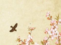 屬豬的女人戴什么吊墜好,屬豬的女性戴什么運氣好