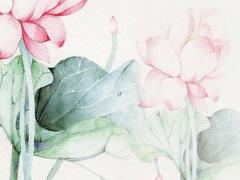 天秤座會和舊愛復合嗎 天秤座會跟舊愛和好嗎