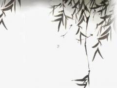 1999的屬兔男適合哪些工作,1999屬兔男人的婚姻與命運