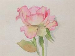 十二星座姻緣配對表 十二星座配對姻緣合婚