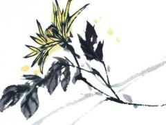 算命一般問什么意思 算命一般問什么具體問題