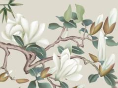 1966年屬馬人一生大劫年 1966年屬馬人一生有幾道坎