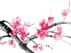 算命事業方面可以問的問題 算命事業問什么問題