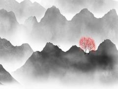 兔年屬蛇運(yùn)勢2023年運(yùn)勢,屬蛇人2023兔年命運(yùn)