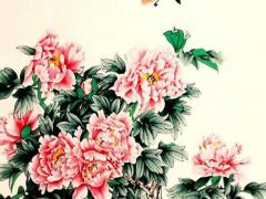 屬豬和屬兔人合作 屬豬和屬兔合作怎么樣