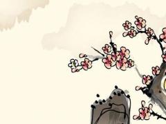 2023年屬狗戴什么配飾,2023年屬狗的人適合結婚嗎