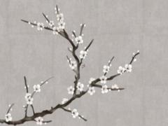 屬虎女和屬羊男婚姻怎么樣 屬虎女與屬羊男相結合怎么樣