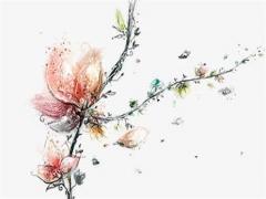 2023屬蛇犯太歲怎么化解,屬蛇在2023年