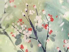 一窩的鴿子可以配對(duì)嗎圖片 一窩的鴿子能配對(duì)嗎