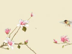 屬猴在2023年結婚好嗎