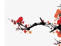 七月初七出生的人命運 7月初7出生的人命怎么樣