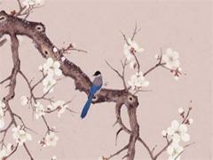 屬蛇男婚姻最佳配偶 屬蛇的男士最佳配偶