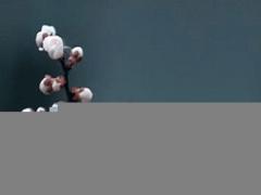 2023屬猴今年多大啊,屬猴的2023年怎么樣