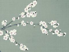 屬鼠跟猴婚姻 屬猴的和屬鼠的婚姻