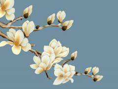 八字的水有什么區別 八字都是水