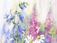 雞年熊姓男寶寶取名大全 熊氏男寶寶起名