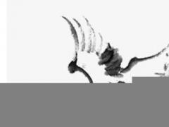 1979年屬羊人2023年佩戴什么吉祥物,2023年79年羊適合戴什么