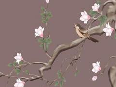 屬猴家里養什么花比較好,屬相猴家里養什么花