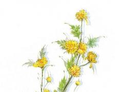 好聽的4名字大全