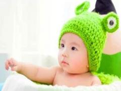 好聽的寵物昵稱大全 好聽的寵物昵稱大全女