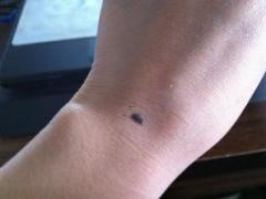 非常有官運面相的特征,有官運指什么