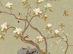 屬猴68年50幾歲,68年屬猴的多少歲了