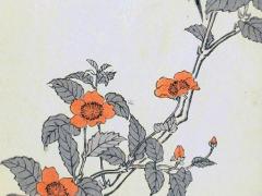 2023屬牛人的財運吉祥物,2023屬牛人全年運勢