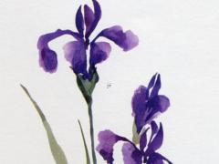 金木水火土五行方位對(duì)照表房屋 金木水火土五行的方向