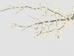 八字算命是那八個(gè)字 八字算命是哪八個(gè)字