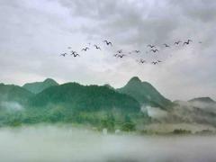 1999年屬兔女和屬什么男婚配,1999屬兔女和什么屬相最配男屬兔