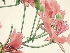 2023屬猴的全年運勢女