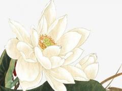 好聽微信群名稱大全微美 好聽點(diǎn)的微信群名