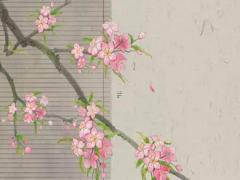 婚姻不好的八字有哪些特點 八字中婚姻不好的女人怎么破