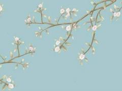 八字腦珊瑚白色觸手 八字腦珊瑚怎么繁殖